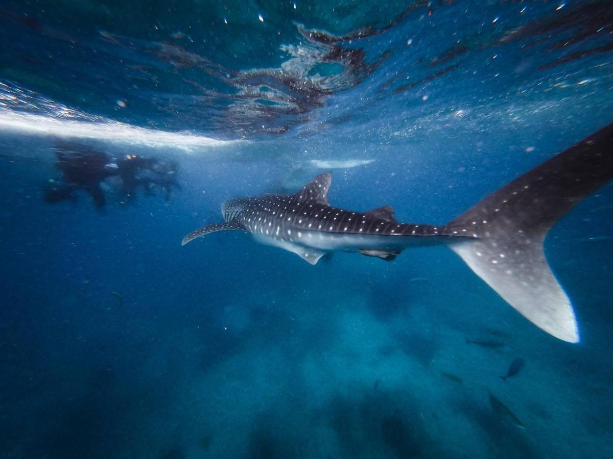 Manta Dhangethi Екстер'єр фото